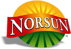 NorSun Logo